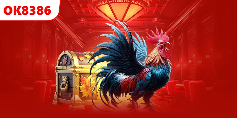 Tổng quan về đá gà chọi C1